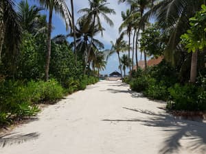thumbnail: Exterior