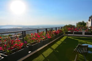 thumbnail: Terrace/patio