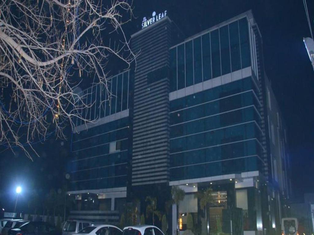 931586_15060215480028253172.jpg