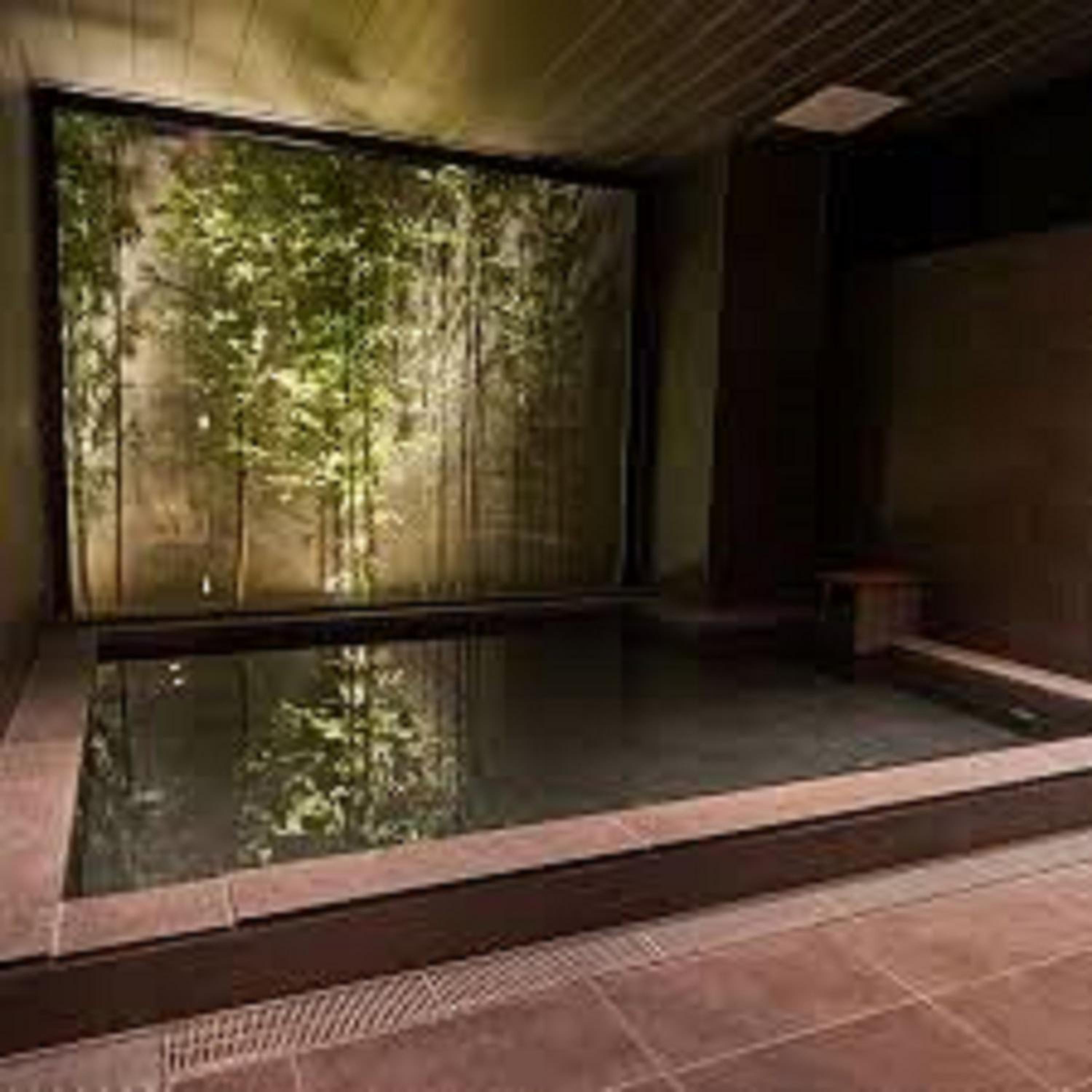Swimming pool-spa