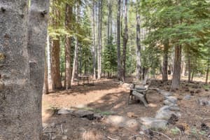 thumbnail: Property grounds