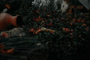 thumbnail: Exterior detail