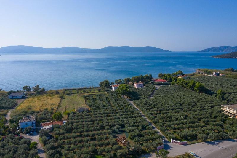 General view