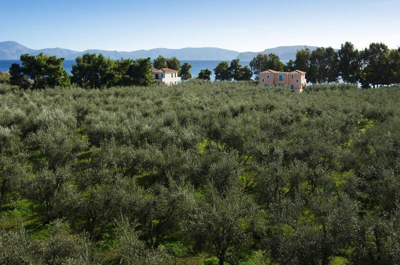 General view