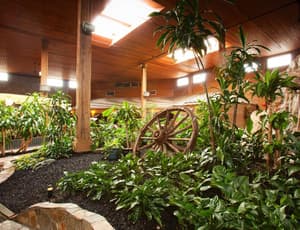 thumbnail: General view
