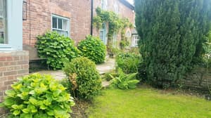 thumbnail: Garden
