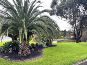 thumbnail: Garden view