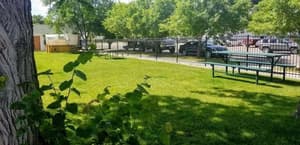 thumbnail: BBQ/picnic area