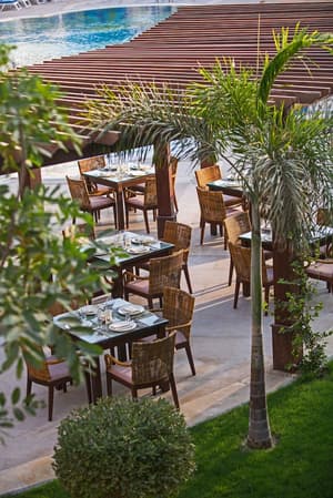 thumbnail: Terrace/patio