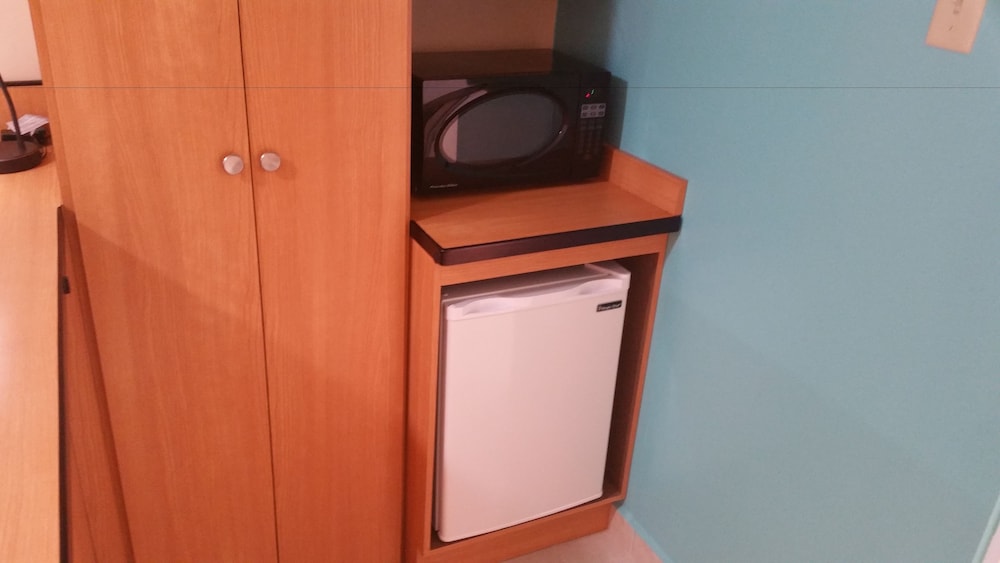 Mini-refrigerator