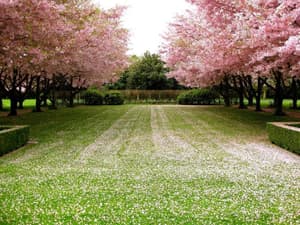 thumbnail: General view