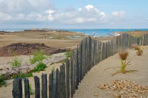 thumbnail: Beach