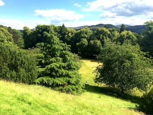 thumbnail: Garden