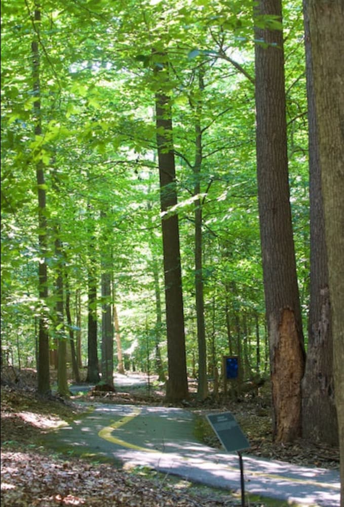 Hiking