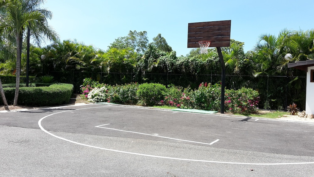 Basketball court