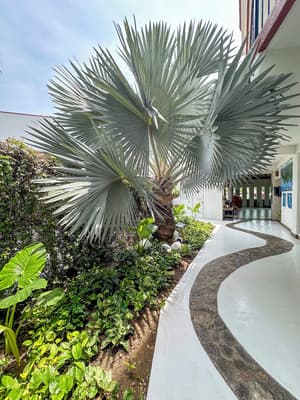 thumbnail: Terrace/patio