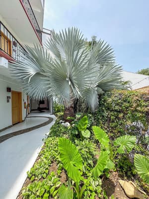 thumbnail: Garden
