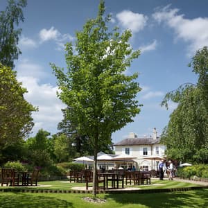 thumbnail: Terrace/patio
