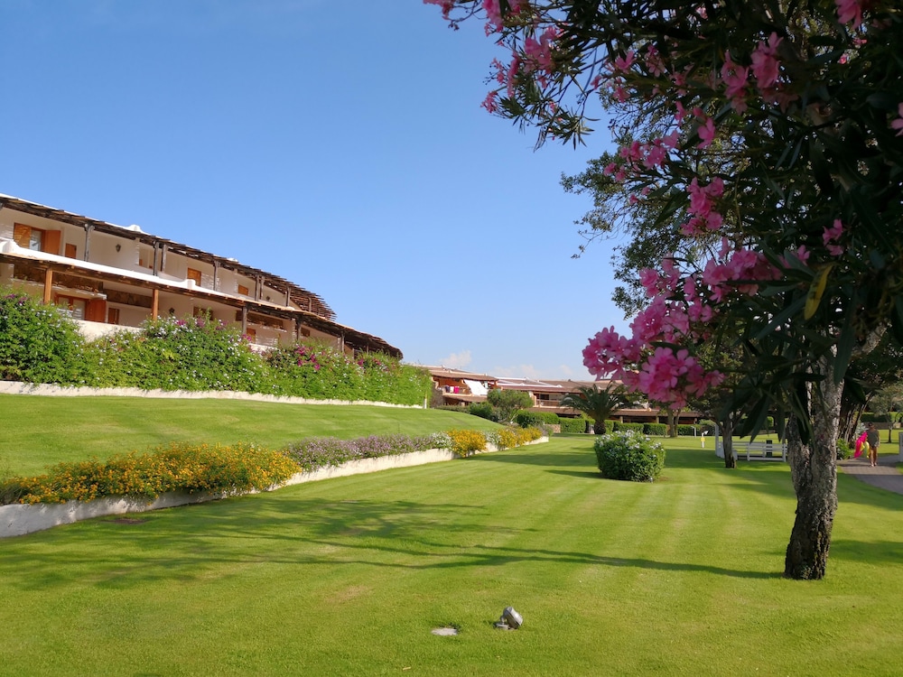 Park view