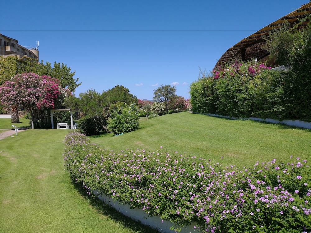 Park view