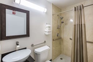 thumbnail: Accessible bathroom