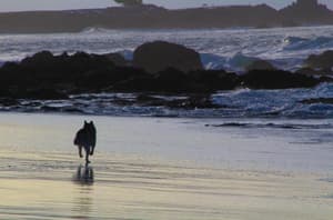 thumbnail: Beach
