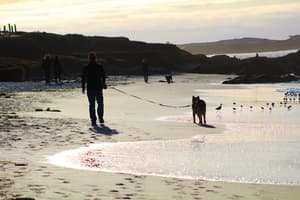 thumbnail: Beach