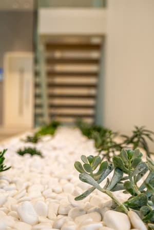 thumbnail: Reception hall