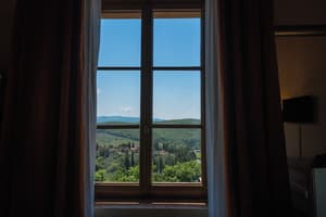 thumbnail: Vineyard view