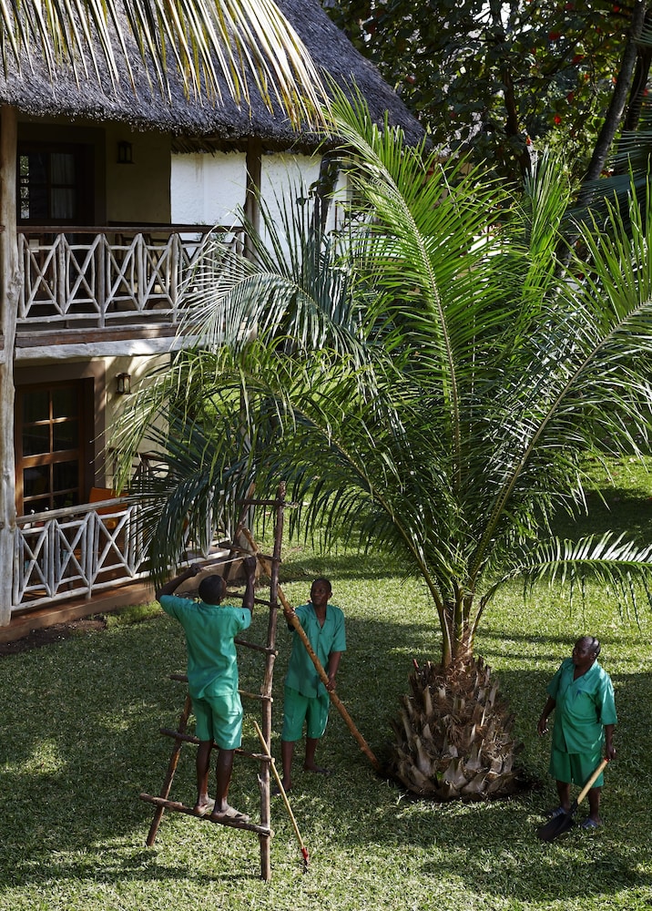 Children's play area - outdoor