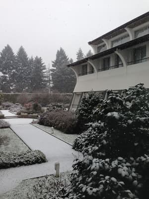 thumbnail: Garden