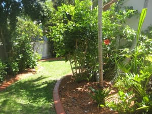 thumbnail: Garden view