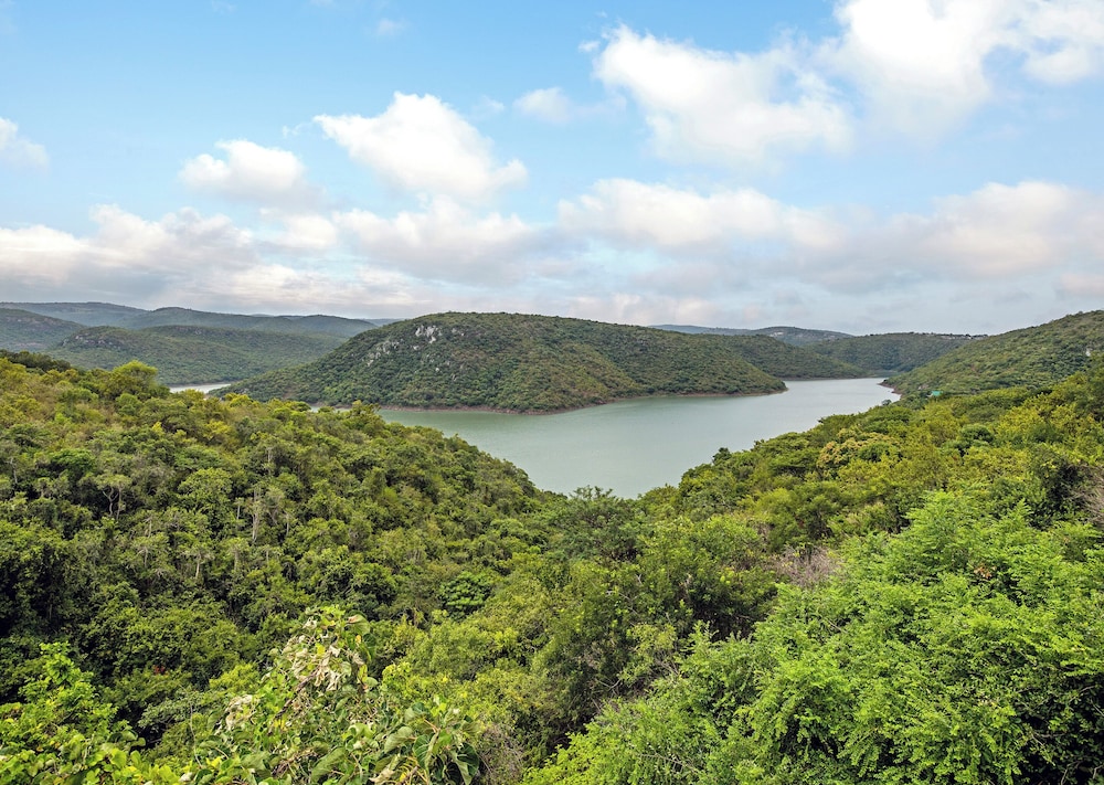 Lake view
