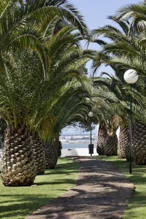 thumbnail: Garden
