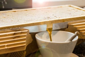 thumbnail: Breakfast buffet