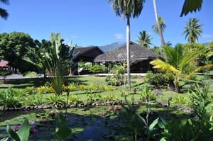 thumbnail: Garden