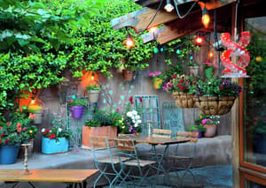 thumbnail: Terrace/patio