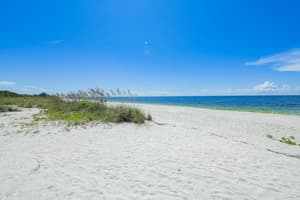 thumbnail: Beach