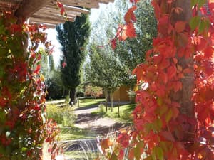 thumbnail: View from property