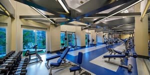 thumbnail: Fitness facility