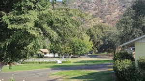 thumbnail: Primary image