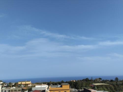 504469320.jpg