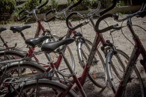 thumbnail: Bicycling