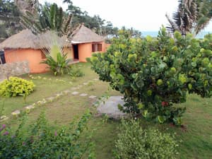 thumbnail: Outdoor dining