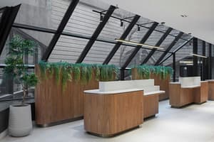 thumbnail: Reception