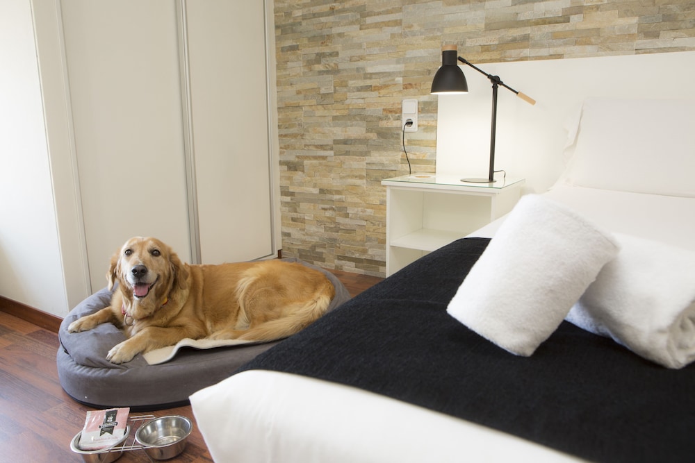 Pet-friendly