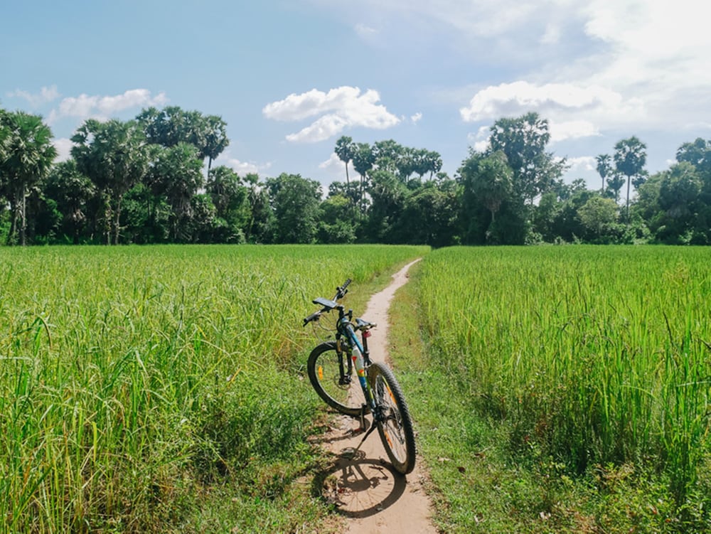 Bicycling