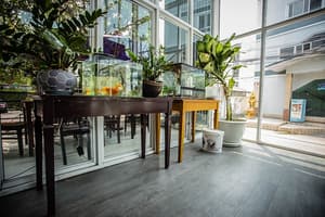 thumbnail: Interior