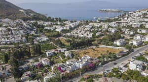 thumbnail: Aerial view