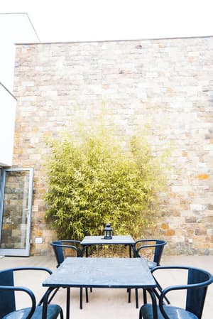 thumbnail: Terrace/patio